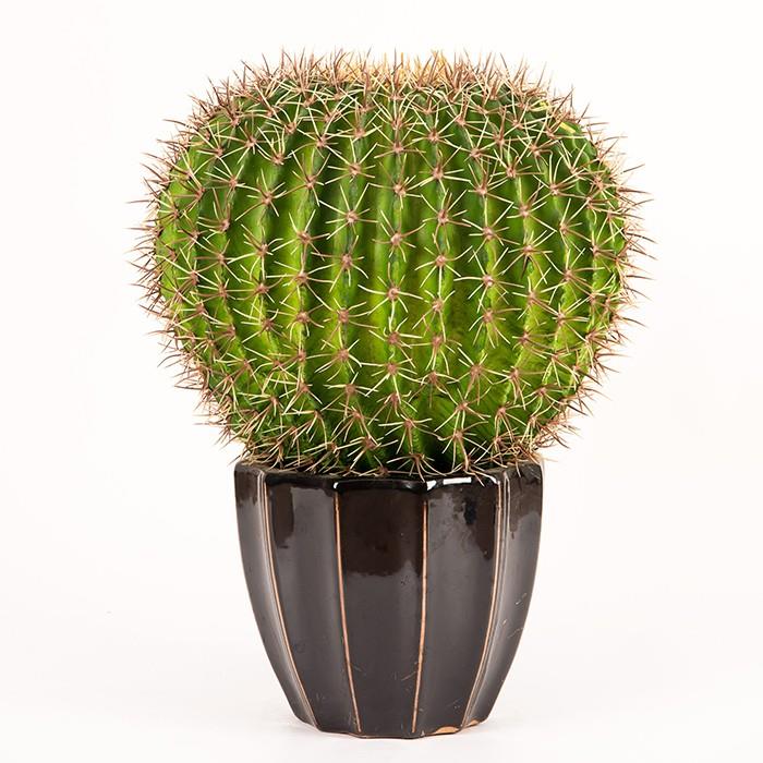 fake cactus