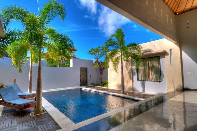 coconut tree