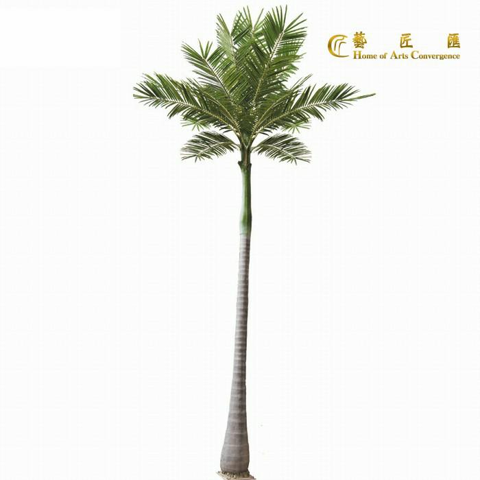 6.3m coconut tree