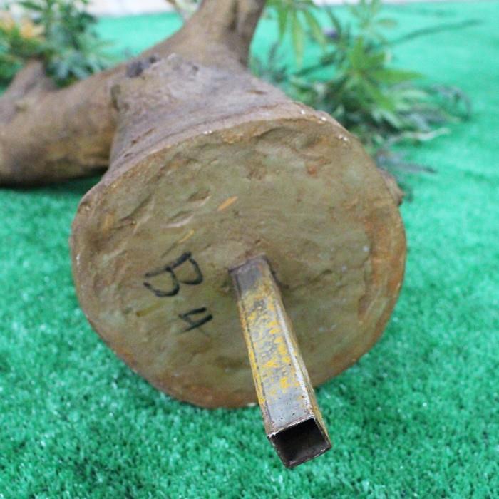 Artificial Baobab Tree
