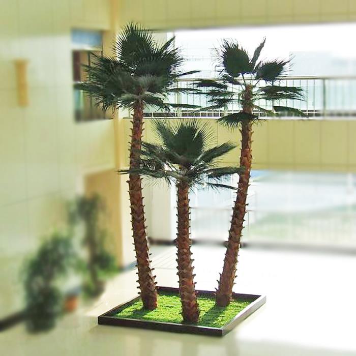 Palm tree