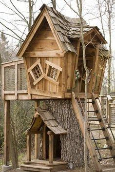 treehouse cases treehouse cases