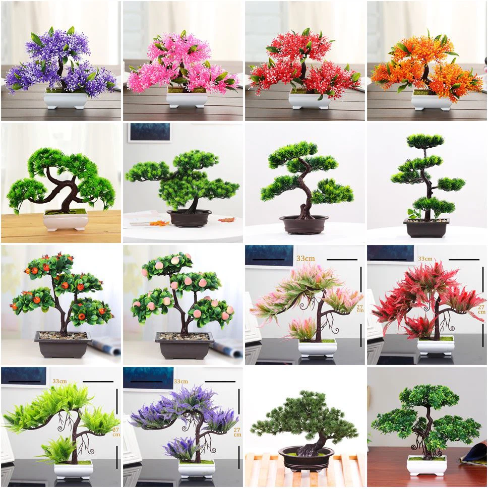 Small potted bonsai tree Small potted bonsai tree