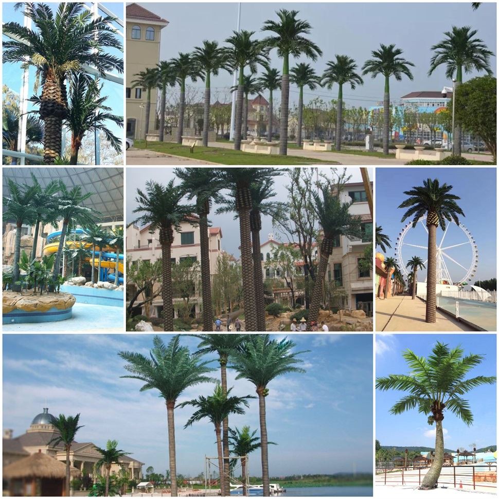 HAC silk palm tree cases