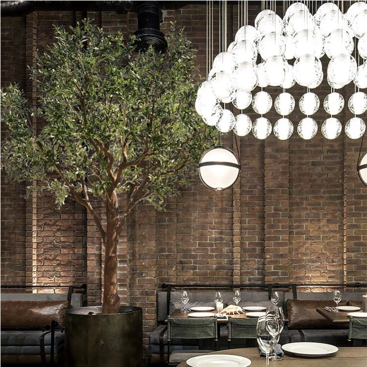 Olive tree Olive tree