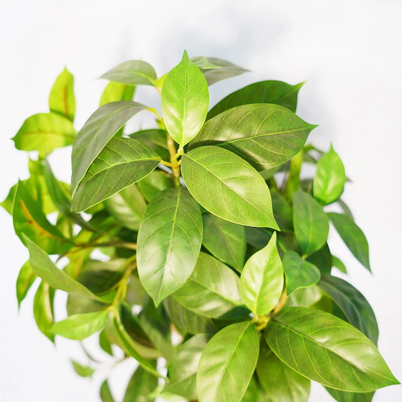 Artificial Lilac Leaf Potted Plant suppliers