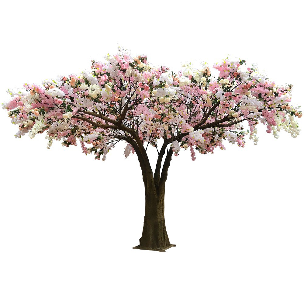 info-1000-1000 info-1000-1000