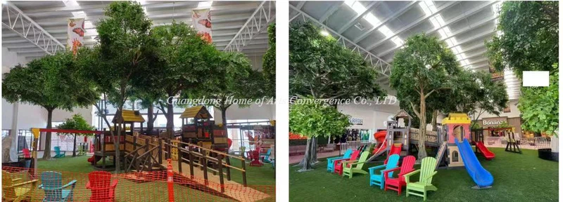 ficus trees for interior decor ficus trees for interior decor