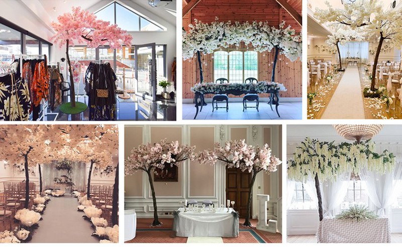 indoor cherry trees for decor indoor cherry trees for decor