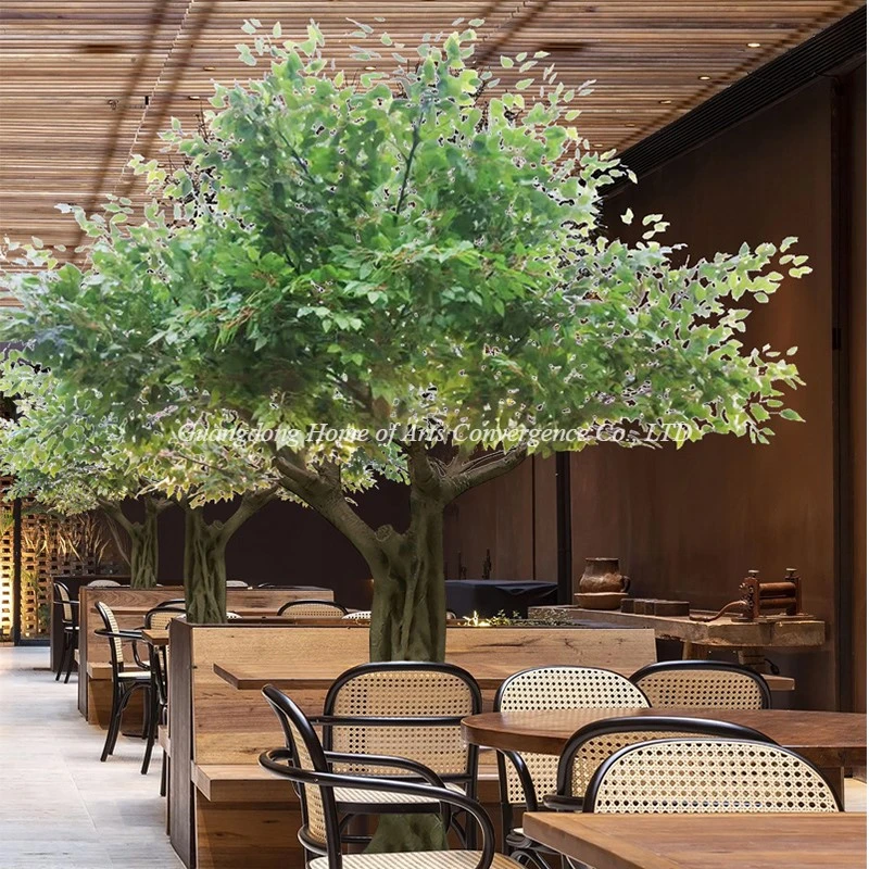 Simulation Banyan Tree One Side Simulation Banyan Tree One Side
