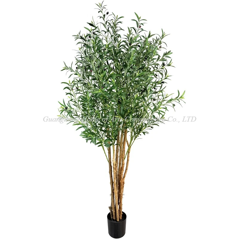 product-800-800 product-800-800