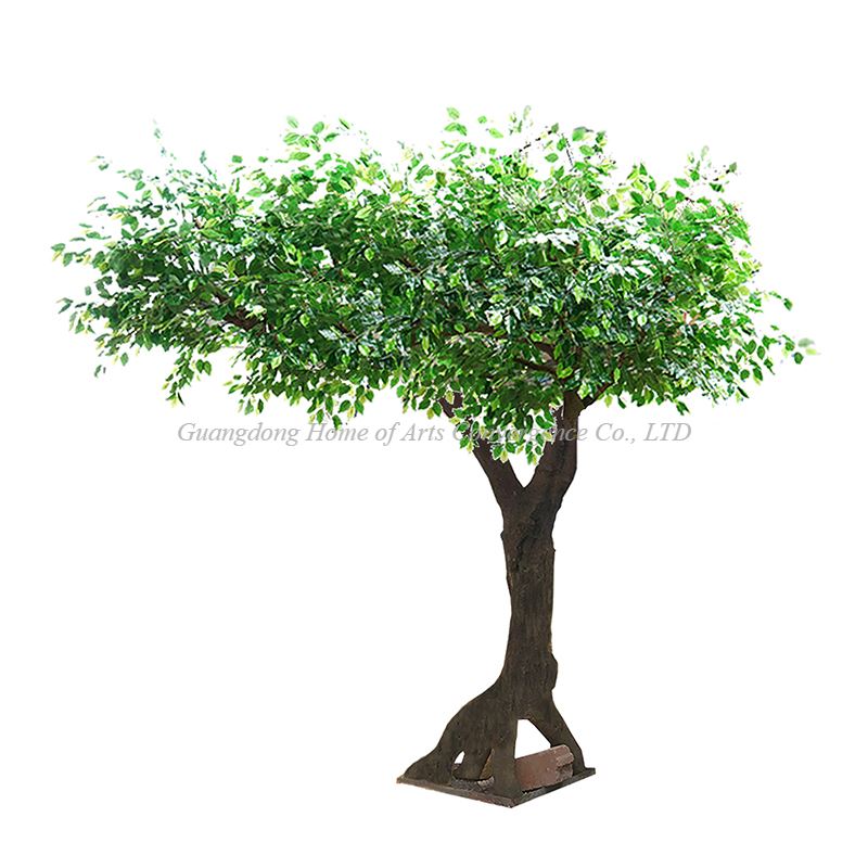 Simulation Banyan Tree One Side