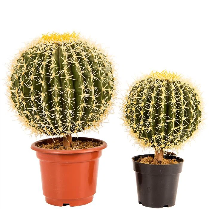 Artificial Cactus Ball Potted Plants