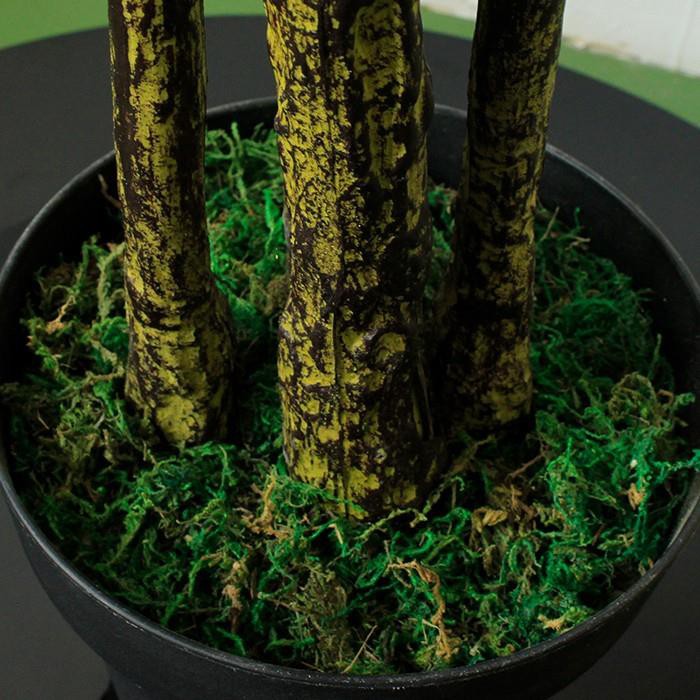 6a877100d1c1e8c3298e47721cc541b2