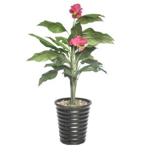 Artificial Canna Lily Plant