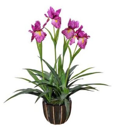 Artificial Cattleya Orchid Plant