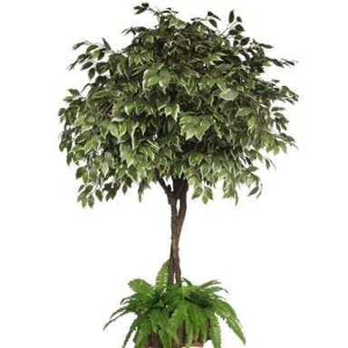 Artificial Ficus Bonsai Tree