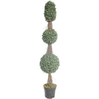 Artificial House Plants