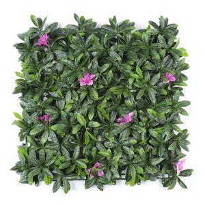 Boxwood Hedge Grass Wall