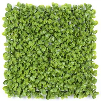 Fake Plastic Green Wall