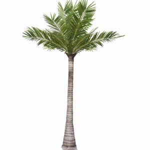 Fiberglass Coconut Palm Tree