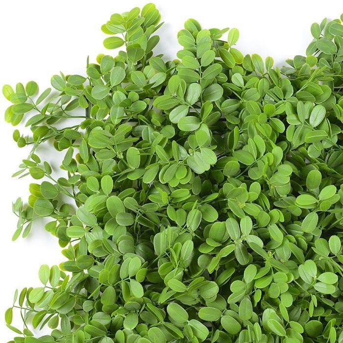 e21b0a2e8393180f9d8035a0786b655e(001)