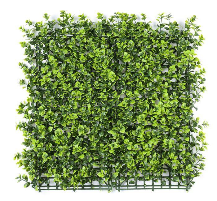Vertical Green Wall