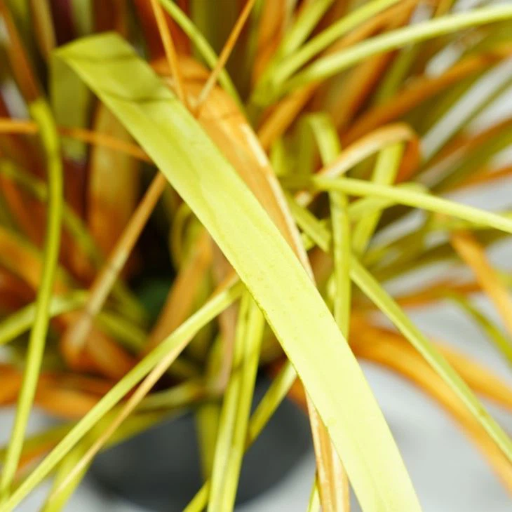 150cm Fake Reed Grass Autumn Plants In Black Plastic Pot For Decoration