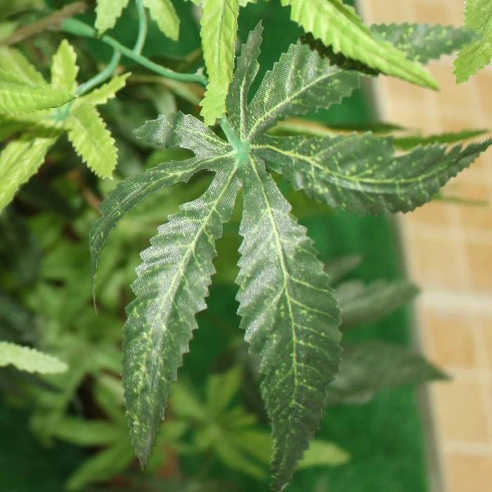 China Artificial Baobab Tree Suppliers, Manufacturers, Factory