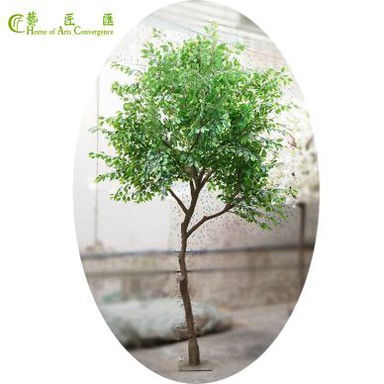 8 Ft Real Touch Bonsai Ficus Tree With Natural Trunk