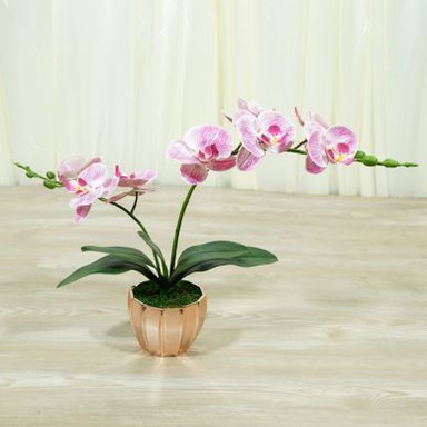 Artificial Orchid Arrangement With 2 Forks