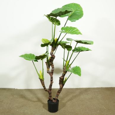 Fake Philodendron
