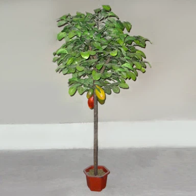 Natural Wood Trunk Handmade Cocoa Tree