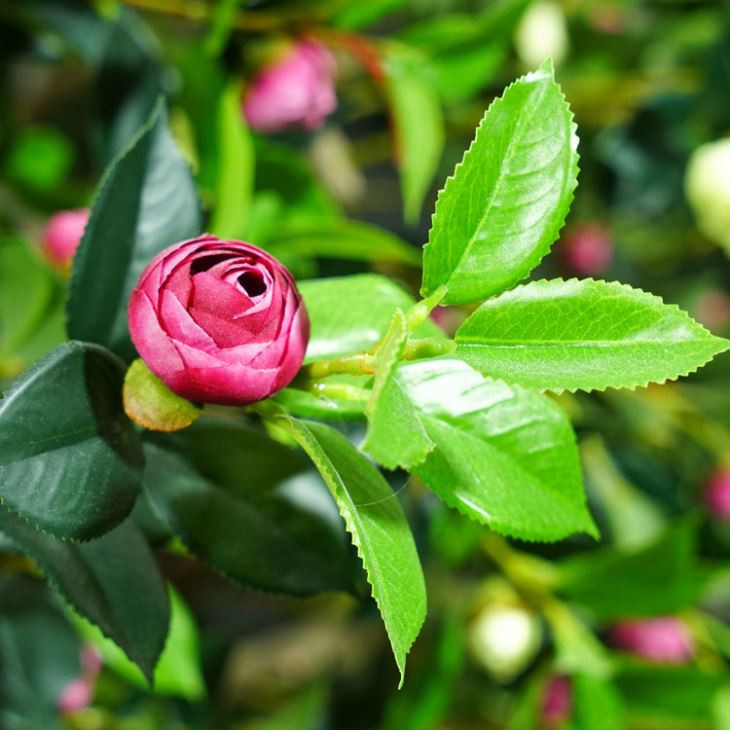10ft Artificial Camellia Trees