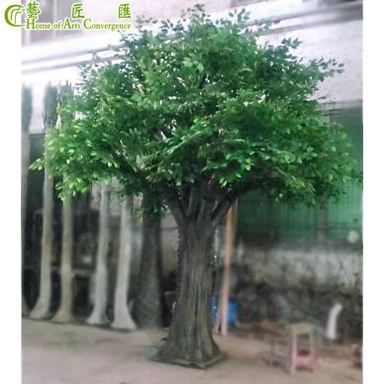 5m Tall Decorative Ficus Tree Outdoor