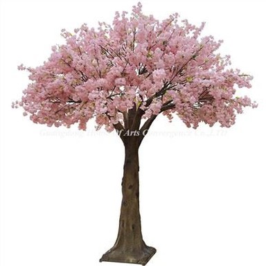 14ft Pink False Cherry Tree