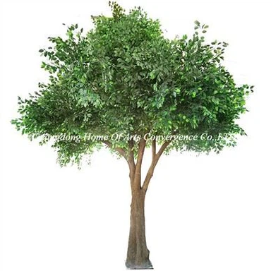 6m Large Fake Ficus Tree